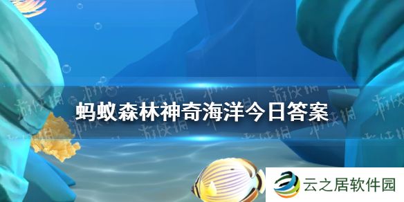 以下哪种海洋鱼类因为蓝绿色鱼肉被称为鱼界阿凡达 神奇海洋12月25日答案